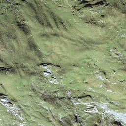 Satellite imagery of Gross Schinder, CH