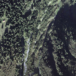 Satellite imagery of Widihorn, CH