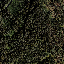 Satellite imagery of Schneebauerberg, AT