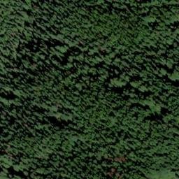 Satellite imagery of Swamp Ridge, US