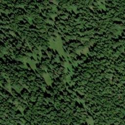 Satellite imagery of Swamp Ridge, US