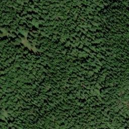 Satellite imagery of Swamp Ridge, US