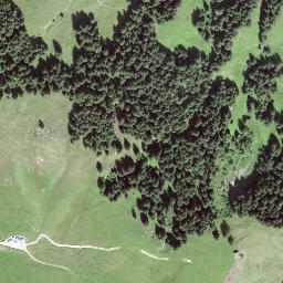Satellite imagery of Luterschwändiegg, CH