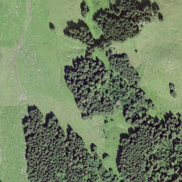 Satellite imagery of Schwarzenegg, CH