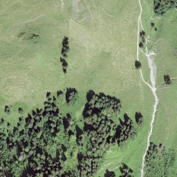 Satellite imagery of Schwarzenegg, CH
