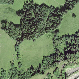 Satellite imagery of Schwarzenegg, CH