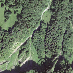 Satellite imagery of Brünneligrind, CH