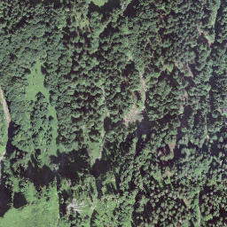 Satellite imagery of Brünneligrind, CH