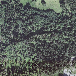 Satellite imagery of Brünneligrind, CH