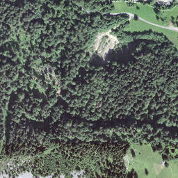 Satellite imagery of Birchegütsch, CH