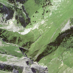 Satellite imagery of Nesslenstock, CH