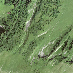 Satellite imagery of Nesslenstock, CH