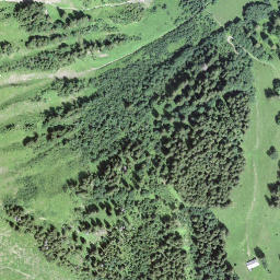 Satellite imagery of Schwarzegg, CH