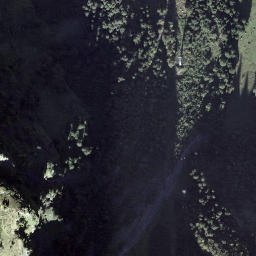 Satellite imagery of Trübsee, CH
