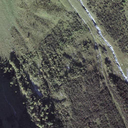 Satellite imagery of Trübsee, CH