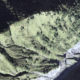 Satellite imagery of Wangihorn, CH
