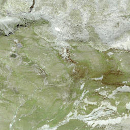 Satellite imagery of Fless, Pass da, CH