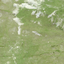 Satellite imagery of Muot Aut, CH
