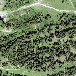 Satellite imagery of Muot Aut, CH