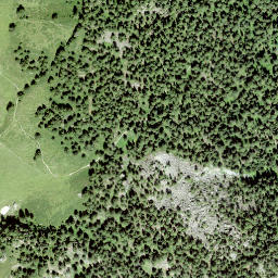 Satellite imagery of Muott'Auta, CH