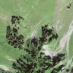 Satellite imagery of Luterschwändiegg, CH