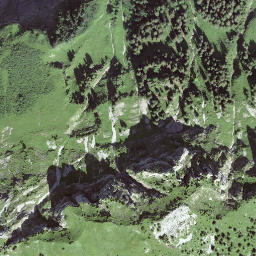 Satellite imagery of Brünneligrind, CH