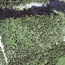 Satellite imagery of Brünneligrind, CH