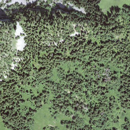 Satellite imagery of Birchegütsch, CH
