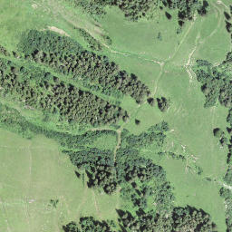 Satellite imagery of Schwarzegg, CH