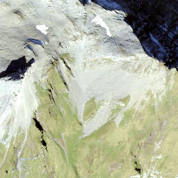 Satellite imagery of Schwarzhorn, CH