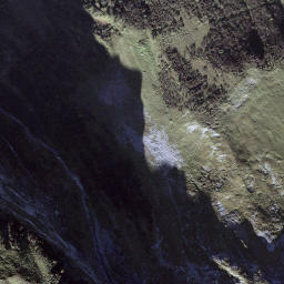 Satellite imagery of Trübsee, CH