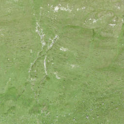 Satellite imagery of Muot Aut, CH