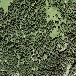 Satellite imagery of Muott'Auta, CH