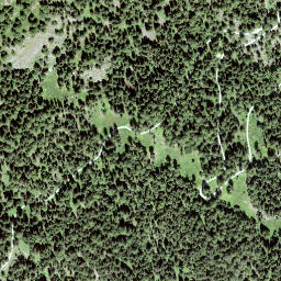 Satellite imagery of Muott'Auta, CH