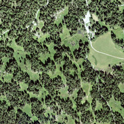 Satellite imagery of Muott'Auta, CH