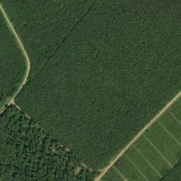 Satellite imagery of survey_point, AT