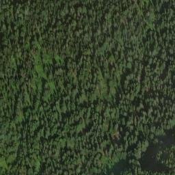 Satellite imagery of Cushman Crest, US