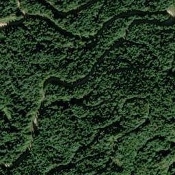 Satellite imagery of Elmberry Ridge, US