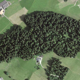 Satellite imagery of Losenegg, CH