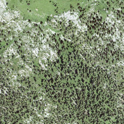 Satellite imagery of Brünneligrind, CH