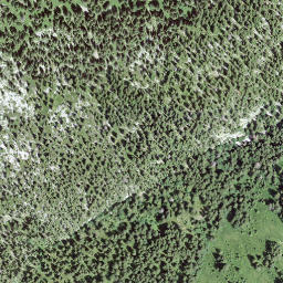 Satellite imagery of Brünneligrind, CH