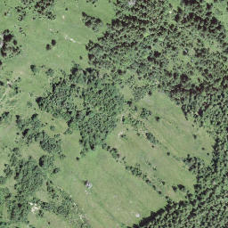 Satellite imagery of Birchegütsch, CH