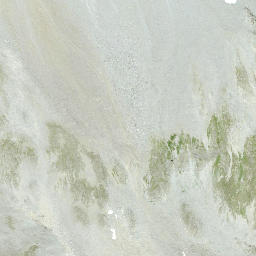 Satellite imagery of Linard Pitschen, CH