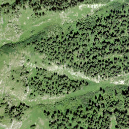 Satellite imagery of Muot Aut, CH