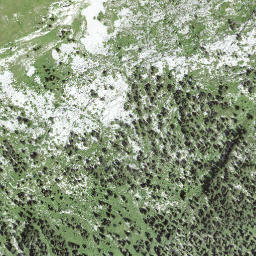Satellite imagery of Baumgartenflue, CH