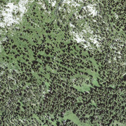 Satellite imagery of Baumgartenflue, CH