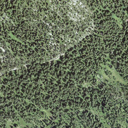 Satellite imagery of Baumgartenflue, CH