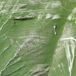 Satellite imagery of Schongütsch, CH
