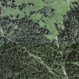 Satellite imagery of Horn, CH