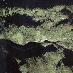 Satellite imagery of Scheidegg, CH
